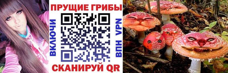 ссылка на мегу ONION купить наркотик Терек Галлюциногенные грибы ЛСД